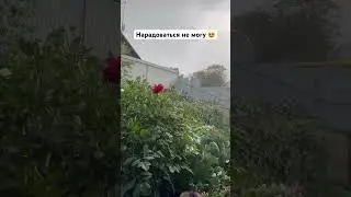 3 августа 2024 г.