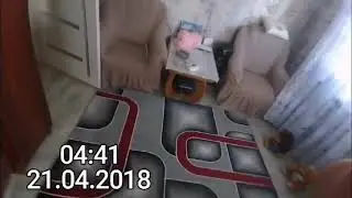 команда стим в хит-параде часть 2 карусель 21.04.2018 04:40