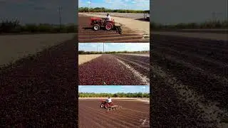 O Agronegócio movendo o Brasil sempre.