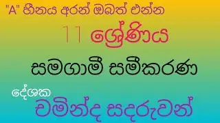 Grade 11 සමගාමී සමීකරණ