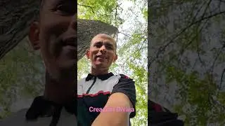 ojos sin rostro
