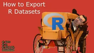 From R to Everywhere: How to Export Default Datasets with Confidence