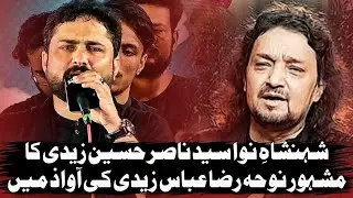 Zainab Lipat Ke Roye Abbas Kay Alam Se || Raza Abbas Zaidi 2024 || Nasir Hussain Zaidi