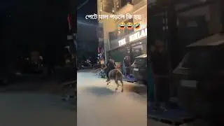 Har Har Mahadeb 