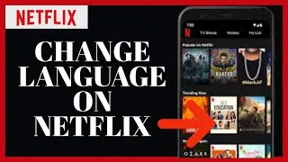 How to Change Language on Netflix App 2023?