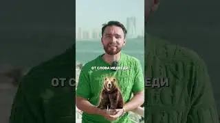 ЧТО ТАКОЕ БЫЧИЙ ЦИКЛ В КРИПТЕ ?