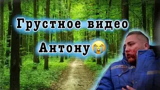 Грустное видео Антону😖| Антон выжил😖|хотите что бы я опять снимал про Антона? | 