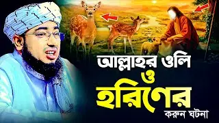 আল্লাহর ওলি ও হরিণের করুন ঘটনা | মুফতি জহিরুল ইসলাম ফরিদী