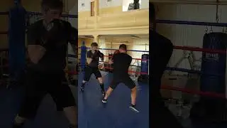 Training Boxing
