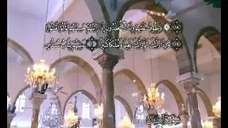 Koran Deutsch Sure 76 Al Insan (Der Mensch)