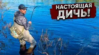 Они ЛОМАЮТ снасти и рвут ШНУРЫ / ЗАБРОСКА на дикий СЕВЕР / ДОБЫЛ приготовил на КОСТРЕ! Кольский!