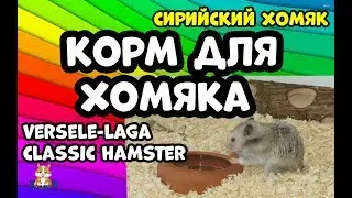 СИРИЙСКИЙ ХОМЯК.КОРМ ДЛЯ ХОМЯКА. VERSELE-LAGA