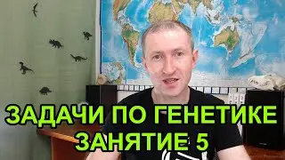 Задачи по генетике - 5. Второй закон Менделя. Анализирующее скрещивание
