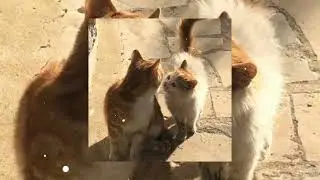 остановилось - speed up