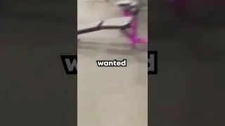She’s NEVER Coming Back To The Gym..