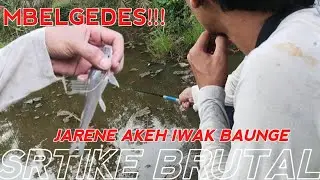 SPOT ELIT STRIKE SYULIT!!! MANCING DIRAWA YANG KATANYA SARANG IKAN BAUNG???