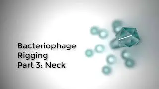 bacteriophage 2020 3 neck