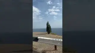 Самая красивая любимая дорога Крыма #олявполе #путешествиепороссии #крым #дорогиерыма