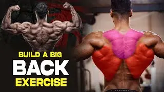 5 Exercises To Build A Big Back