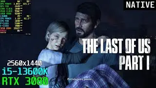 The Last of Us Part 1 [High / Native] RTX 3080 + 13600K 1440P