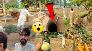 Our Village / Hmara pyara Gaon 😂🐆🦓🥰🦣🐎🦌🐓😍🤑🐳🐋🦚🦜🕊🐇🦝🦨🦡🦫🌳#ZahidZHB