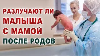 Совместное пребывание Обработка ребенка после родов Разлучают ли малыша и маму в роддоме после родов