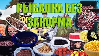 РУССКАЯ РЫБАЛКА 4 (РР4) - ТРОФЕЙ РАМЧАТЫЙ КАРП. ТРОФ КАРП ЧЕШУЙЧАТЫЙ.РЫБАЛКА БЕЗ ЗАКОРМА
