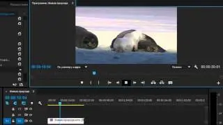 Как отразить видео по горизонтали/вертикали (Adobe Premiere Pro CC)