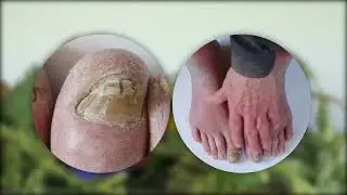 Рыба под майонезом в духовке