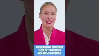 Почему бездомных животных не стерилизовали?  #еленалетучая #летучая