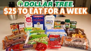 $25 to Eat for a Week? My Dollar Tree Haul & Game Plan