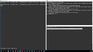 Linux NIC Renaming