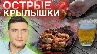 Острые куриные крылышки на мангале от которых я в восторге