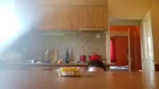 Cooking with Firey has been CANCELLED!!