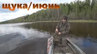 ЩУЧЬЯ рыбалка.Лодочный сезон 2019