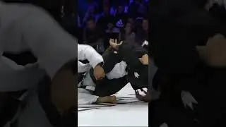 Jiu Jitsu Is A Gentle Art