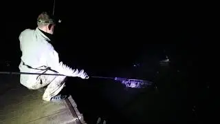рыбалка на карпа ночью