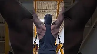 back day fun 