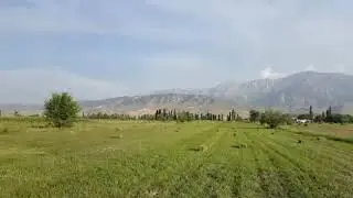 Жал Кулатов