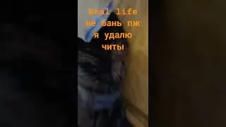 не бань #freecomedy #funny #money #comedy #memes #relatable #meme #satire #birthdaygift #themanniish