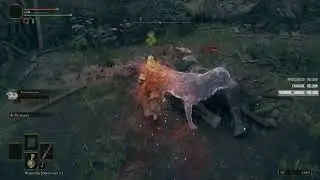 Elden Ring /part1 [blind]