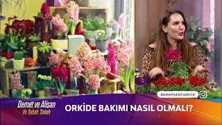 Demet ve Alişan ile Sabah Sabah 203.Bölüm | ORKİDE BAKIMI NASIL OLMALI | AYTÜL TEMİZ l Dogus Digital