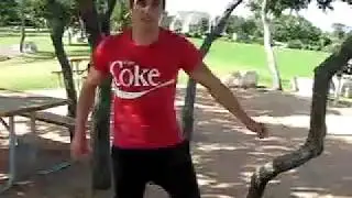 Turtel's Parkour