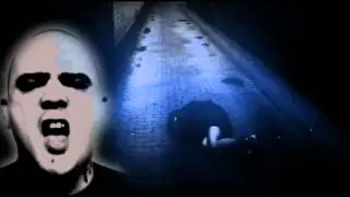 Schusterjungs - Nie mehr allein