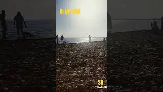 Walking the dog in summer | #nature short