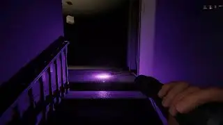 Смешные моменты (Phasmaphobia)