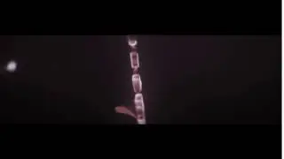 Intro ~ Empty (Dual with BreezeFX)