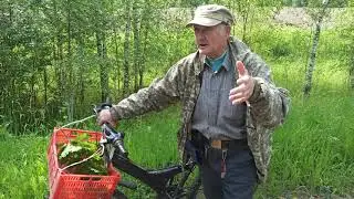 Галлюцинации Жителя прожившего в лесу 30 лет ОДИН