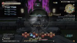FINAL FANTASY XIV chase