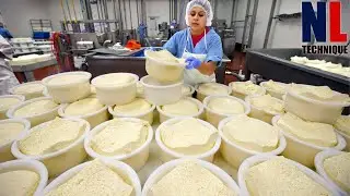 Amazing Giant Cheese Mass Production Process At A Modern Manufacturing Factory